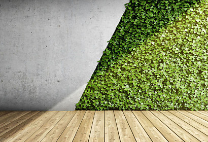 Fototapeta Vertikální zelená zahrada na betonové zdi 2031